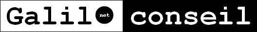 Conseil en information et stratégie numérique Logo